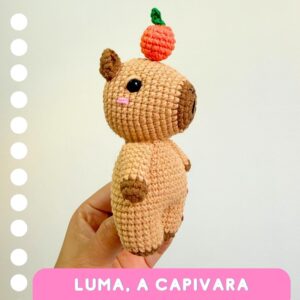 Receita em PDF - Luma, a capivara